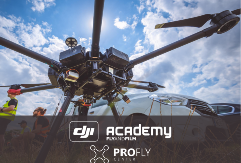 profly